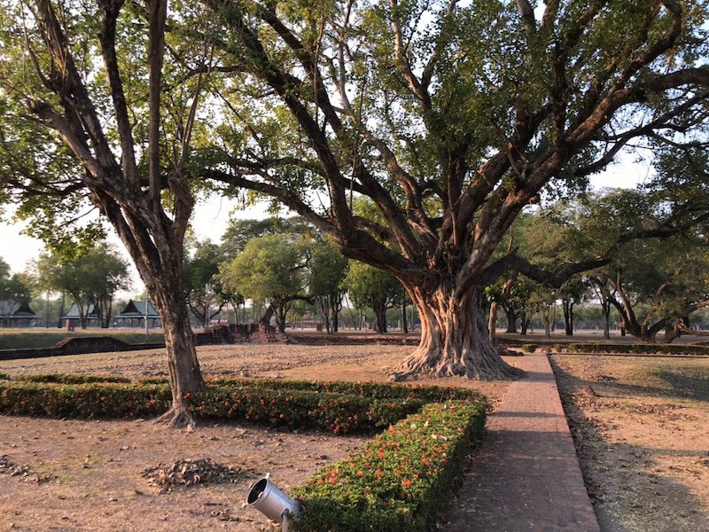 sukhothai park