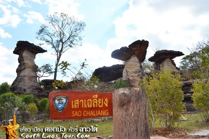 PHA TEAM (UBON Thani)