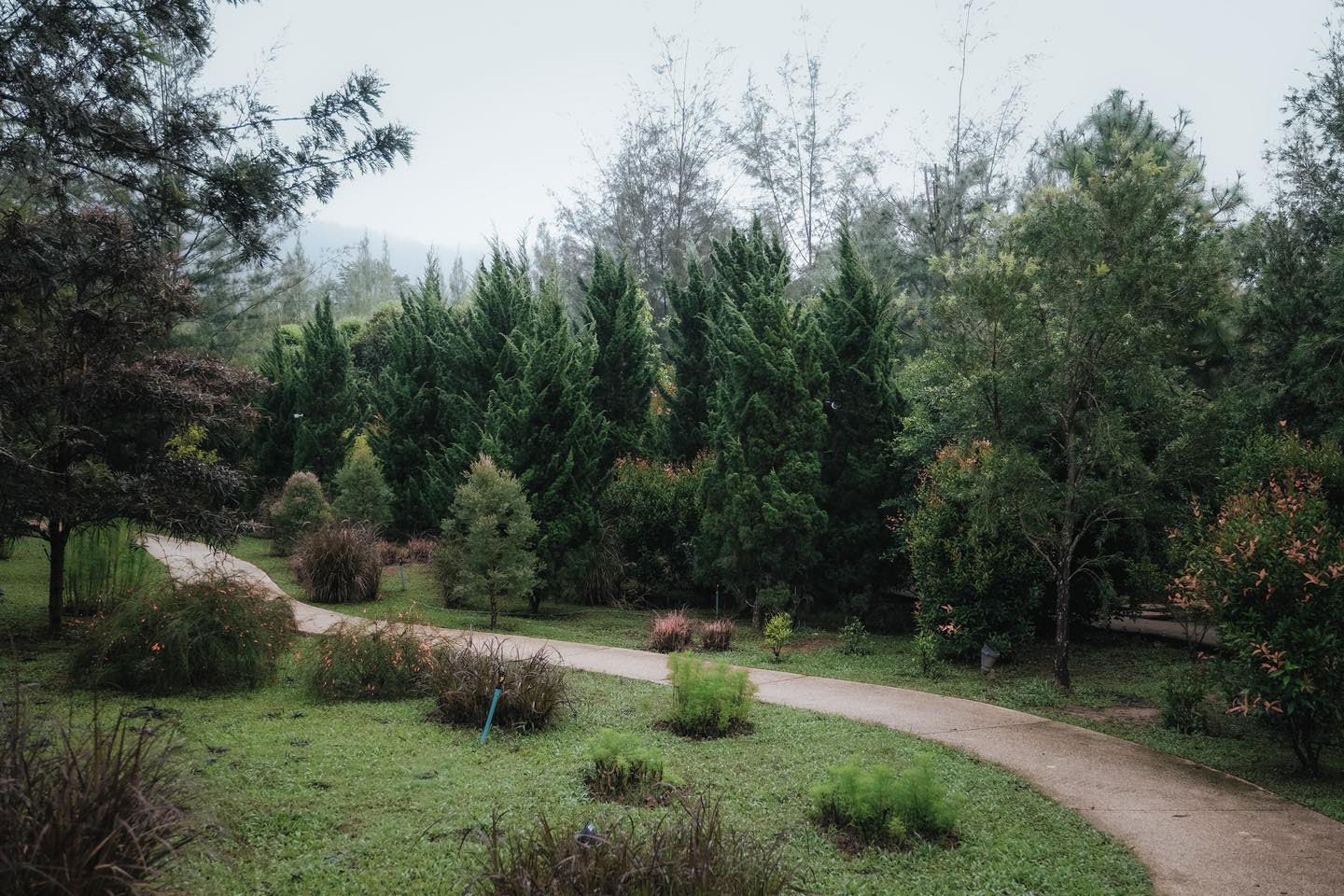 The Birder's Lodge Nakhon Ratchasima