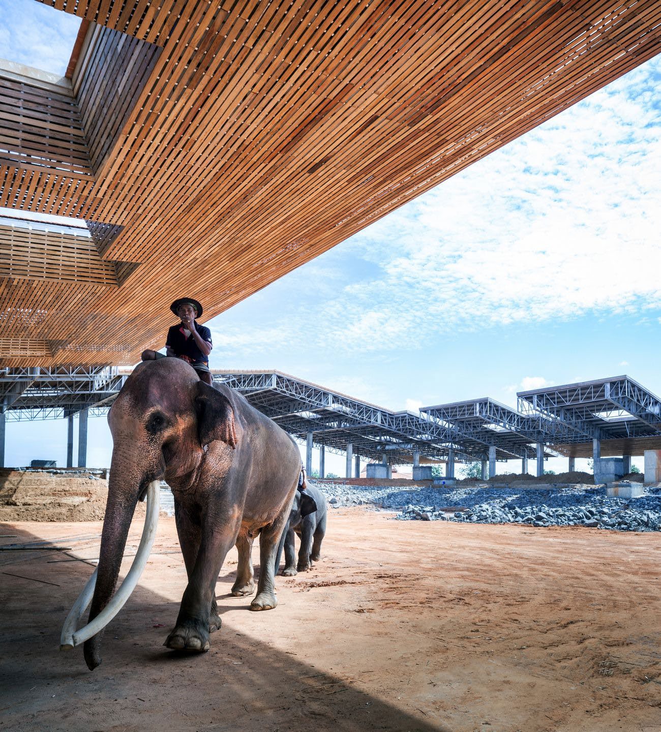 Surin elephant world (Surin Provence)