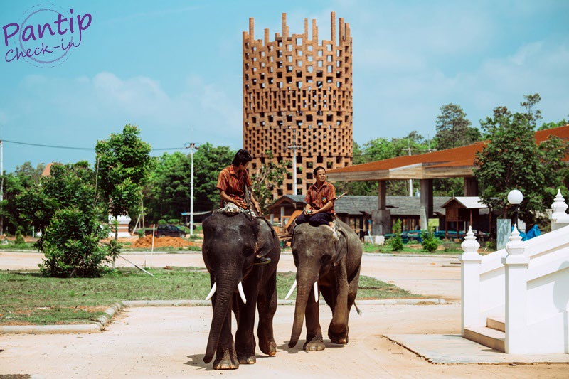 Surin elephant world (Surin Provence)