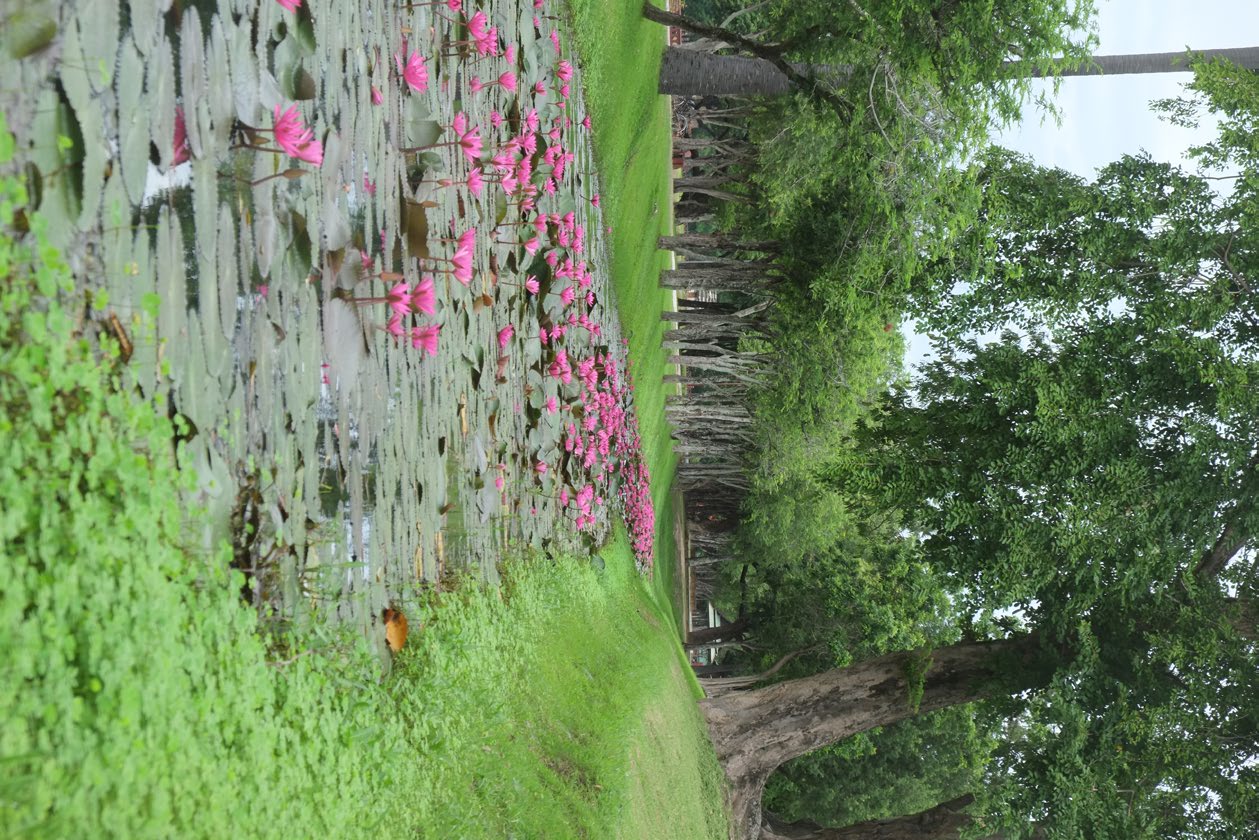 Si Satchanalai Historical park