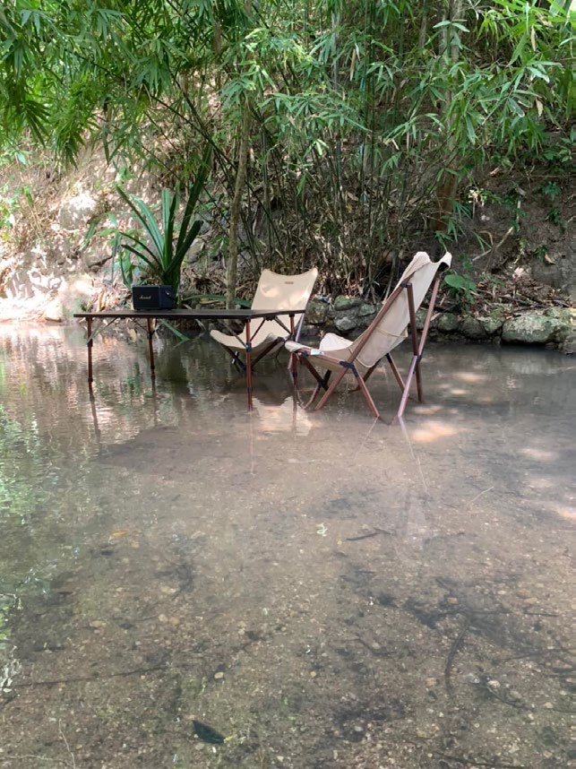 Shade of Green Resort