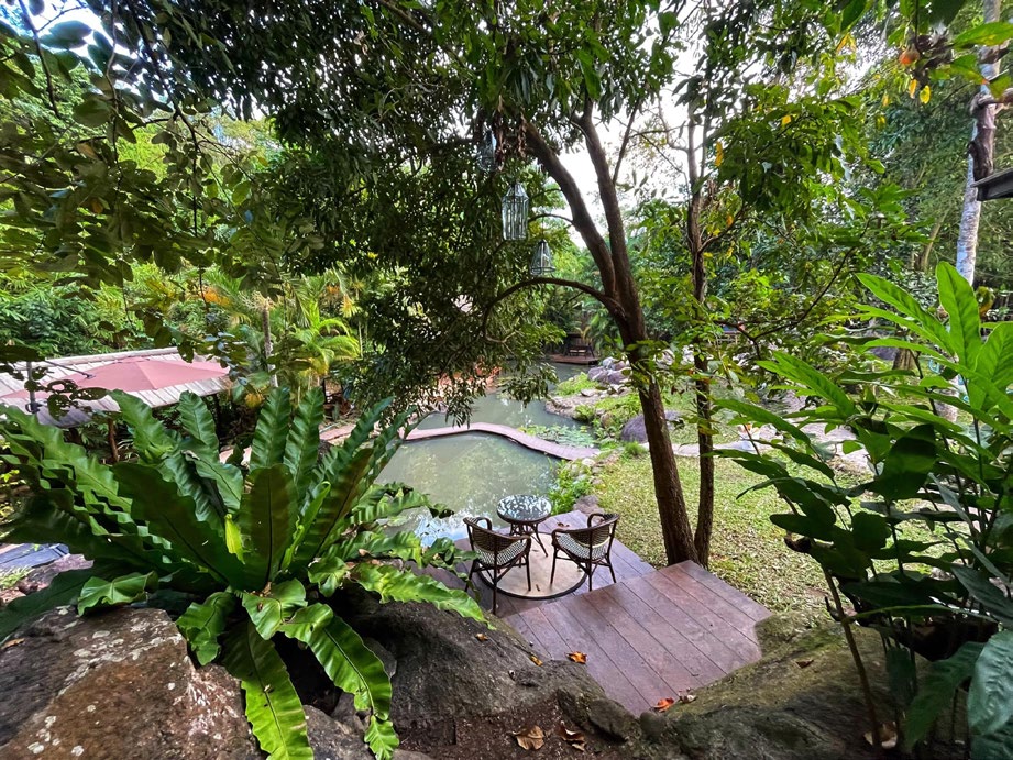 Shade of Green Resort