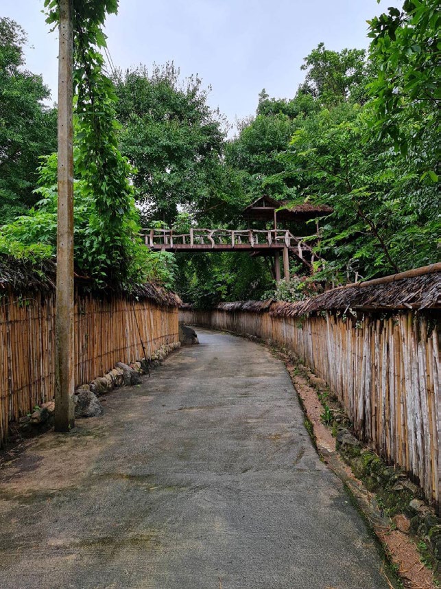 Shade of Green Resort