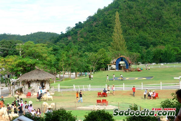 Sheep Park
