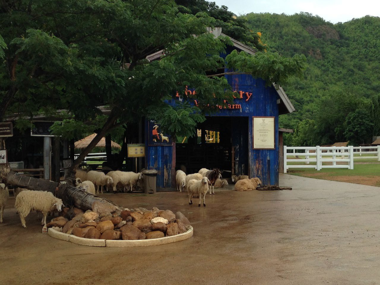 Sheep Park