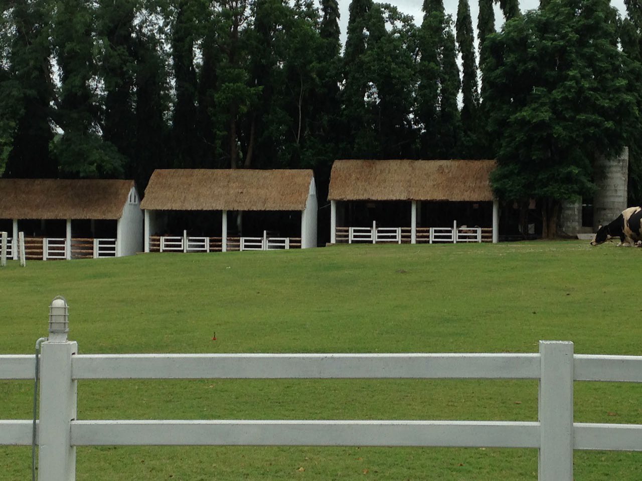 Sheep Park