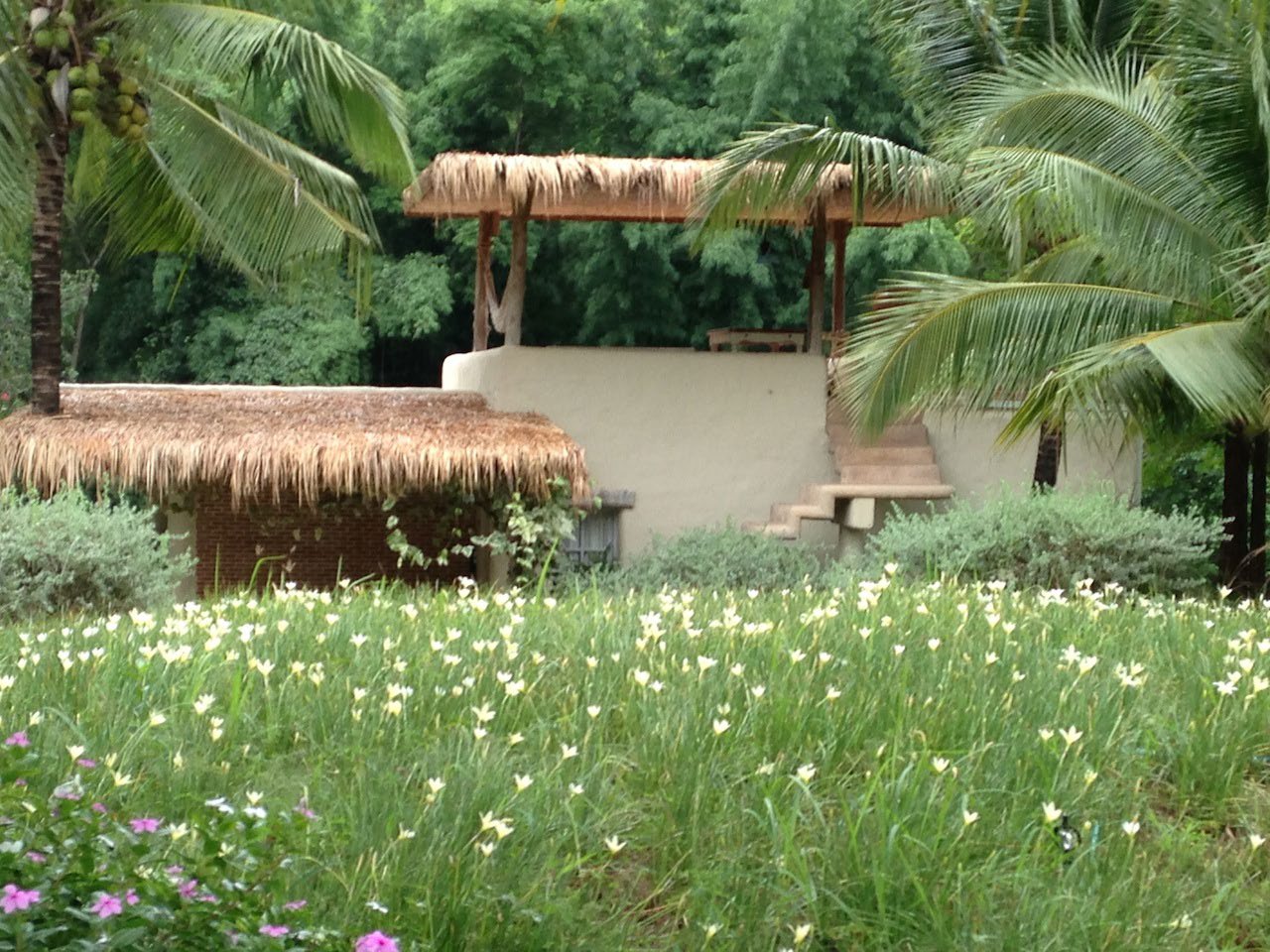 Sheep Park