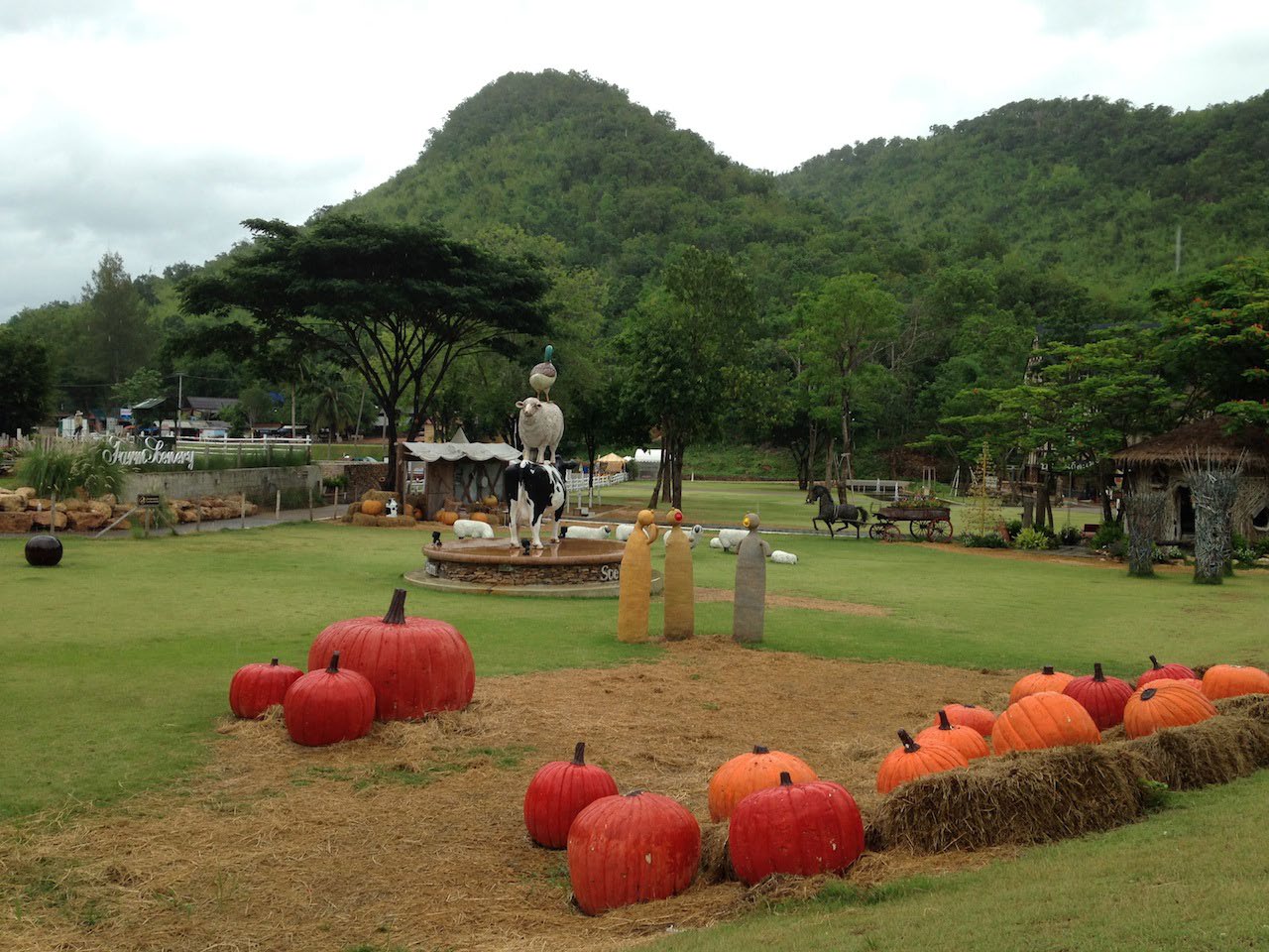 Sheep Park