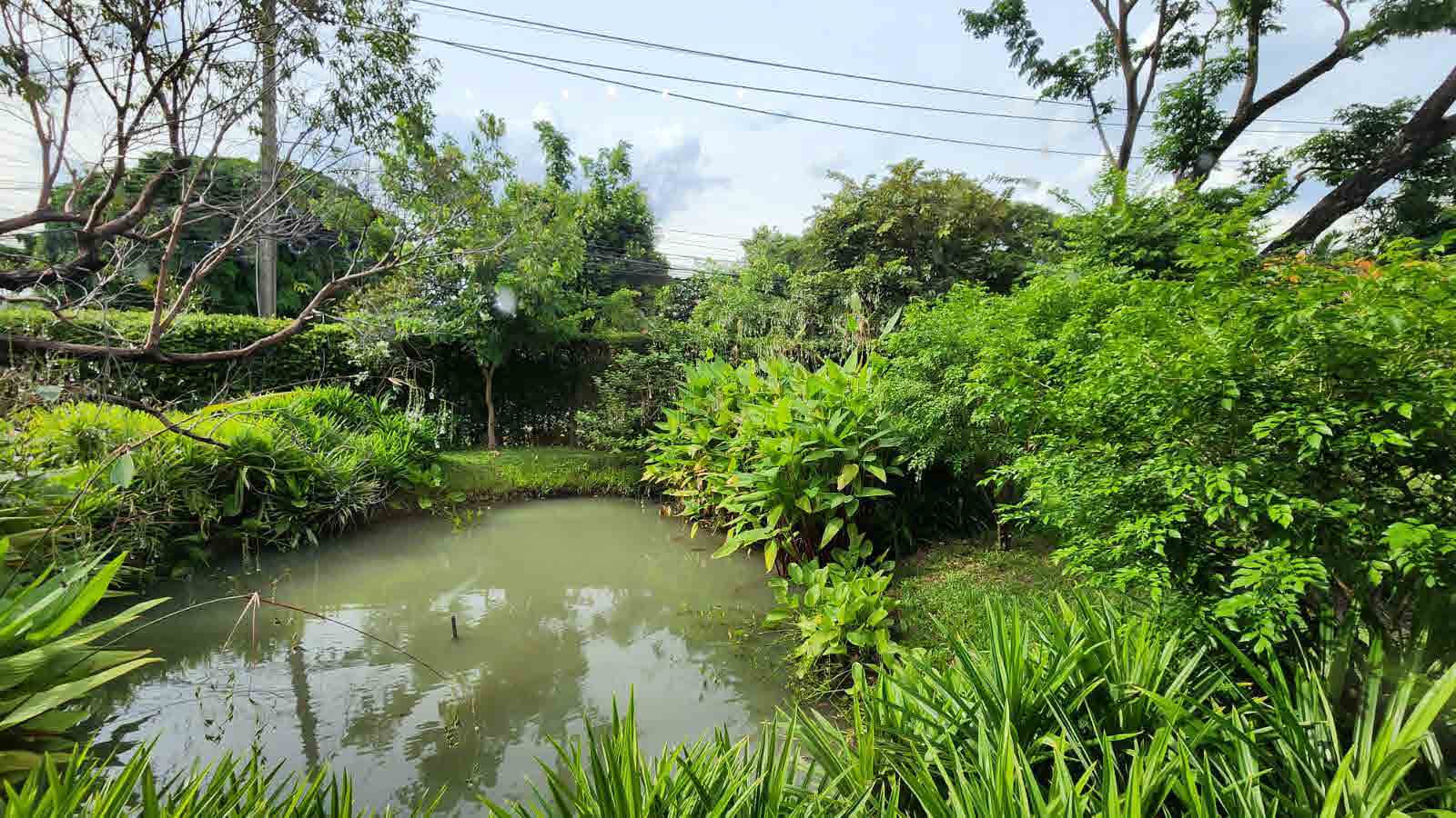 The Botanical House Bangkok
