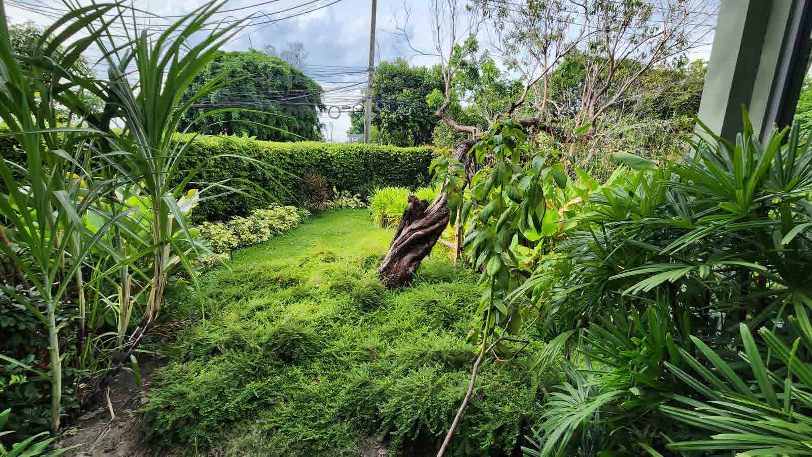 The Botanical House Bangkok