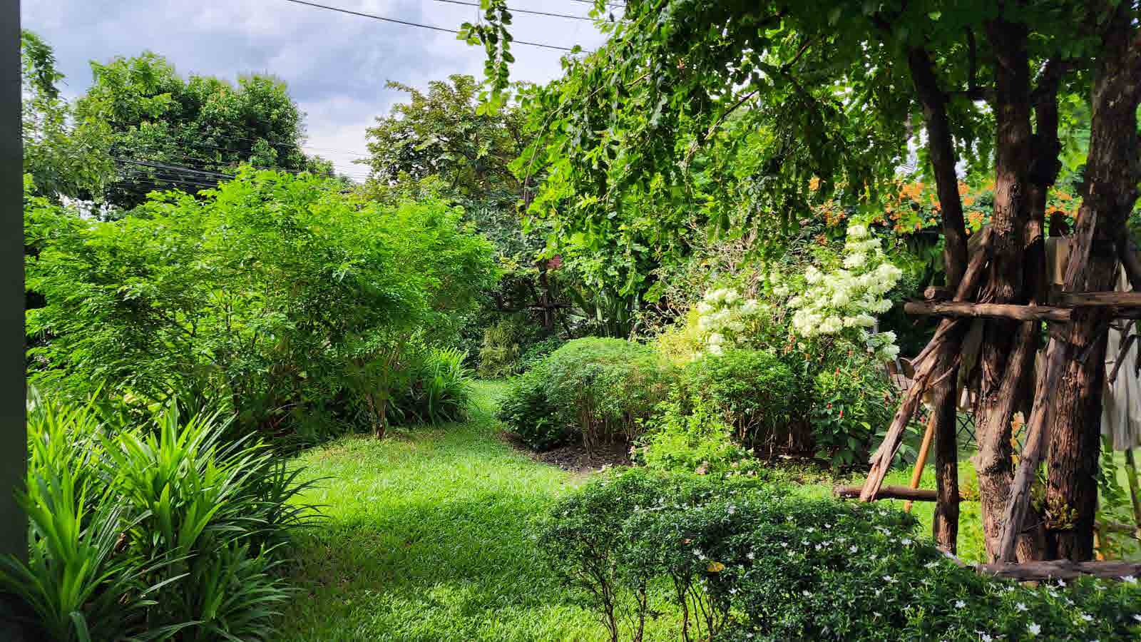 The Botanical House Bangkok