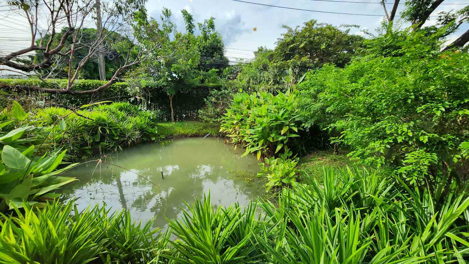 The Botanical House Bangkok