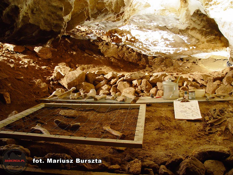 BEAR CAVE