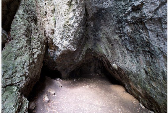 KING LOKIETEK CAVE