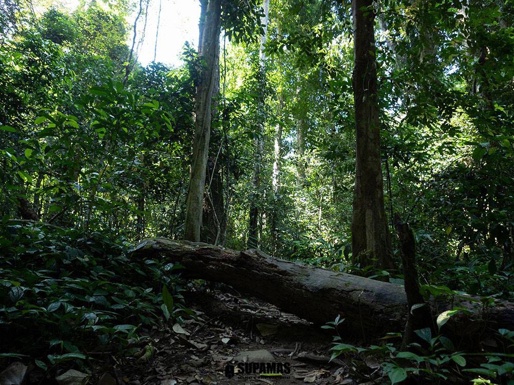 soi dao waterfall