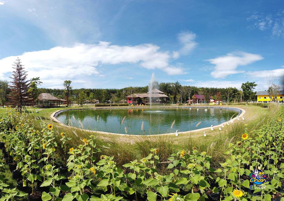 Viva Foresta Farm