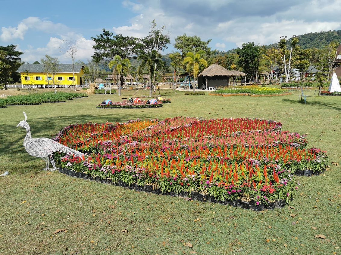 Viva Foresta Farm
