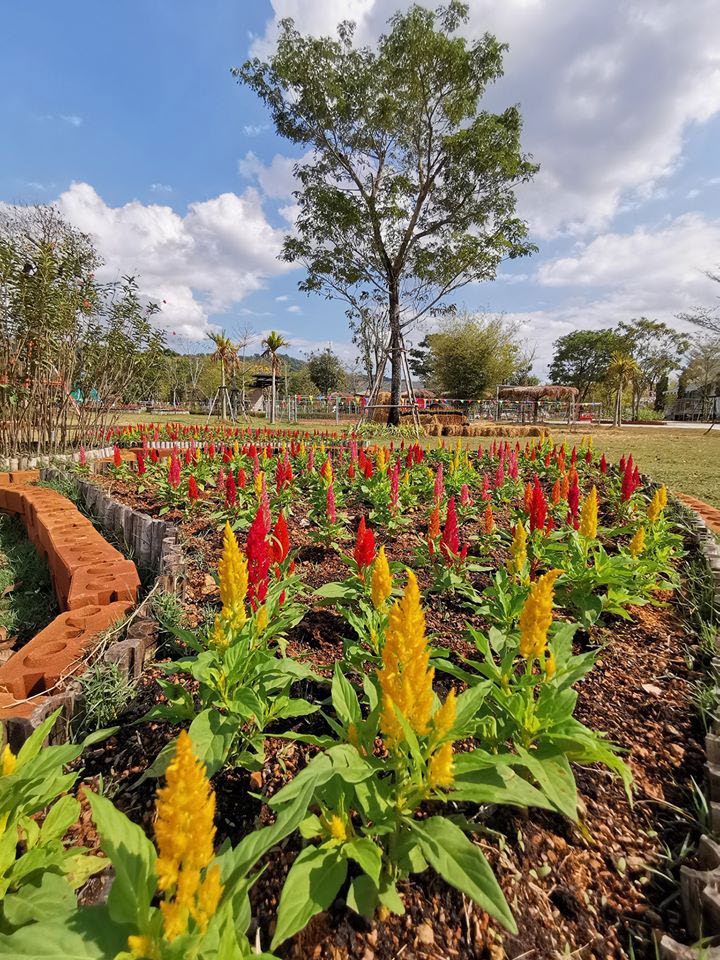 Viva Foresta Farm
