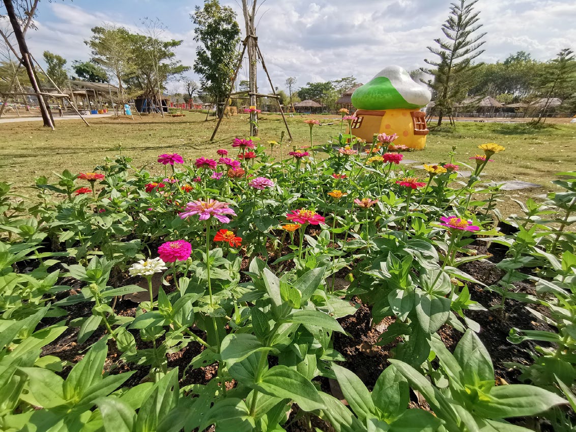 Viva Foresta Farm