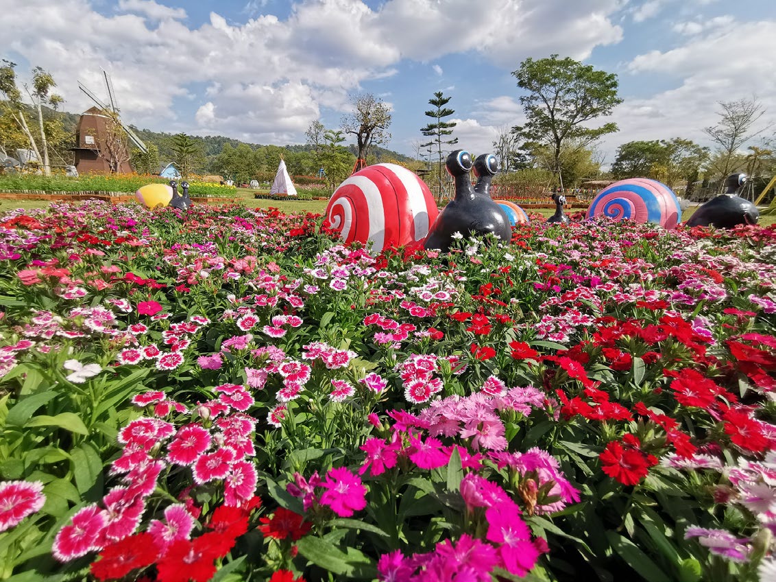 Viva Foresta Farm