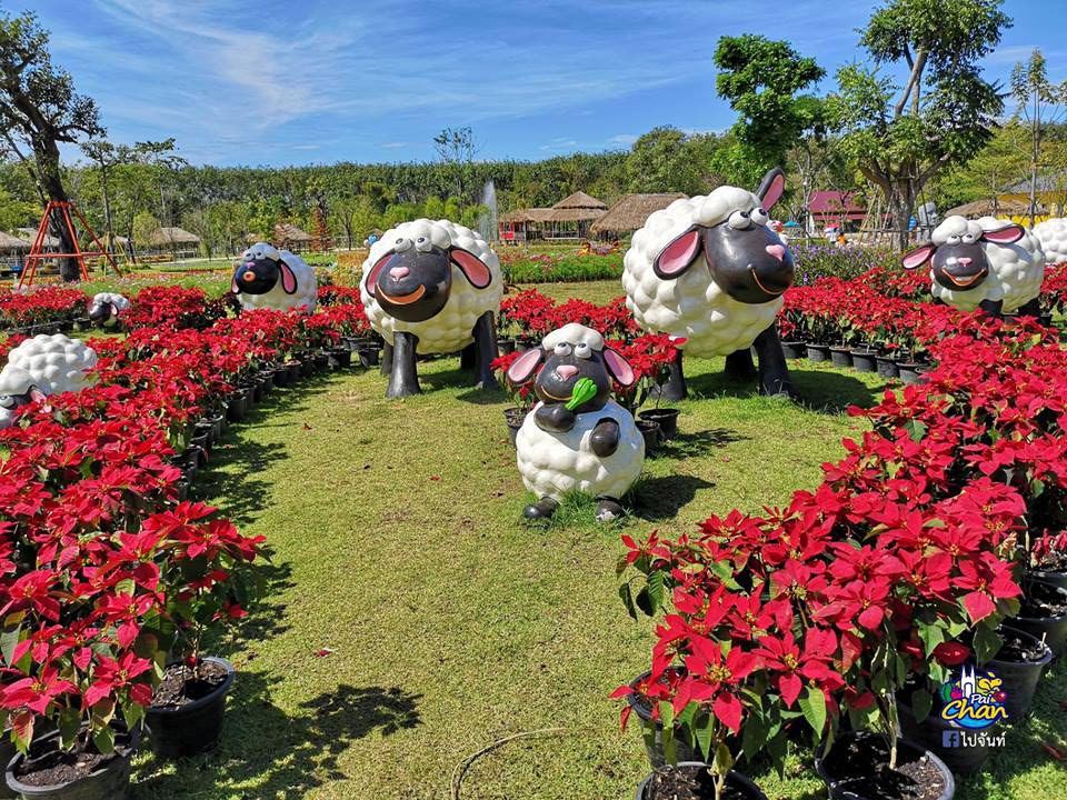 Viva Foresta Farm