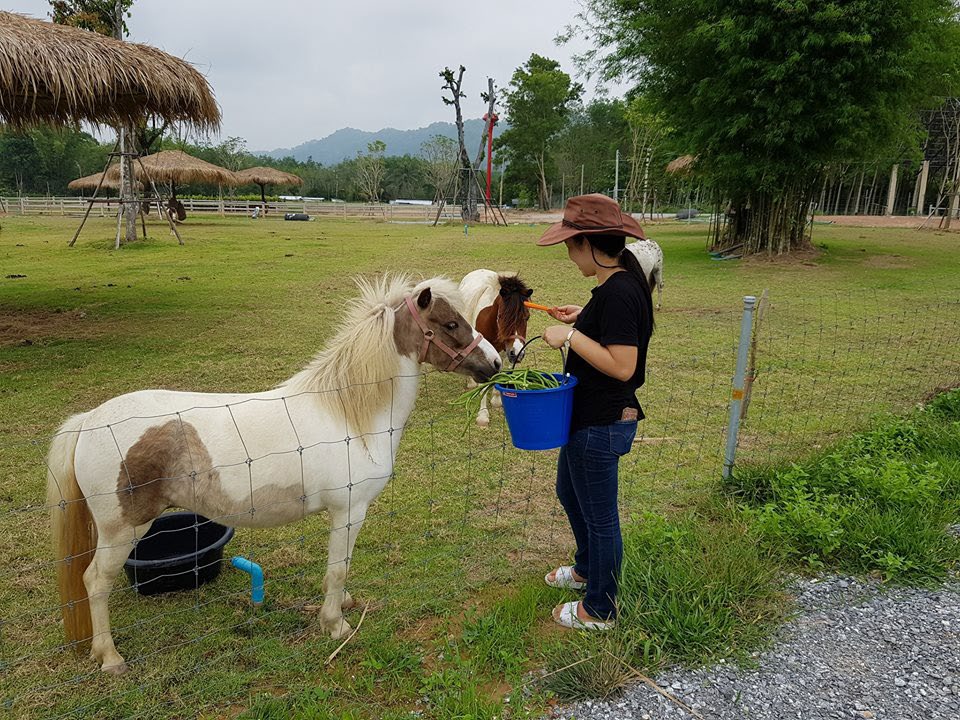 Viva Foresta Farm