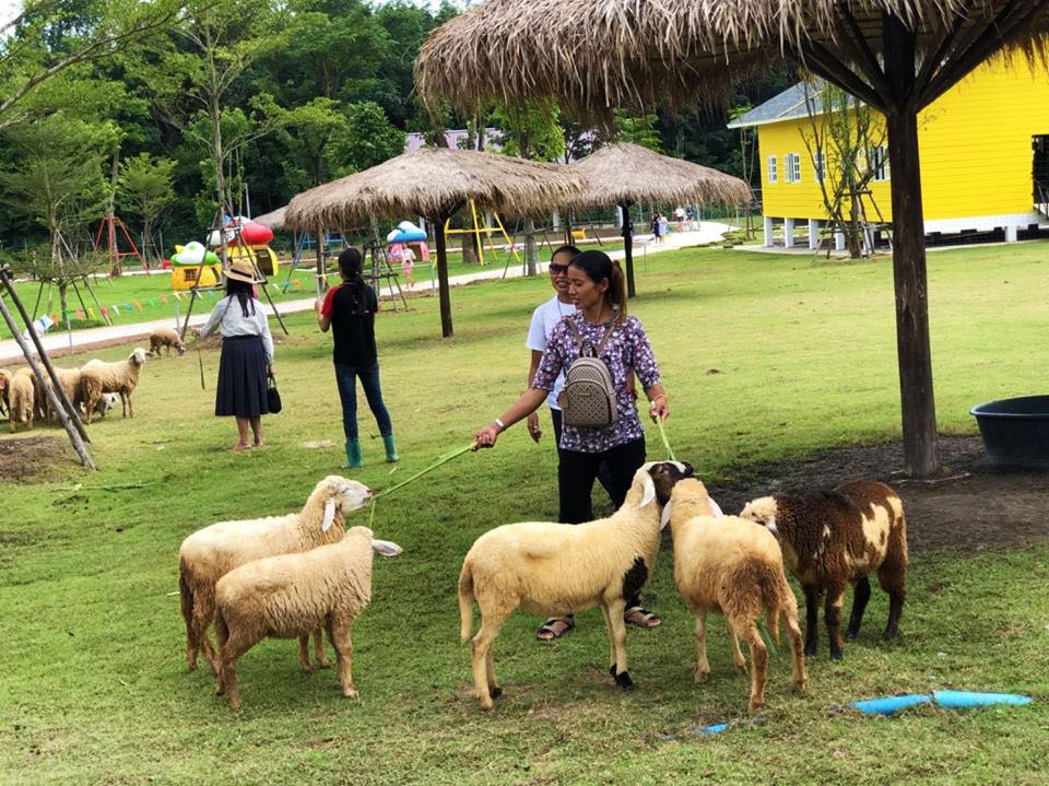 Viva Foresta Farm