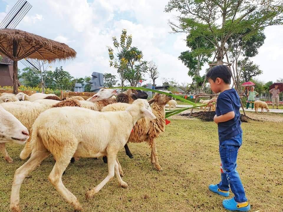 Viva Foresta Farm