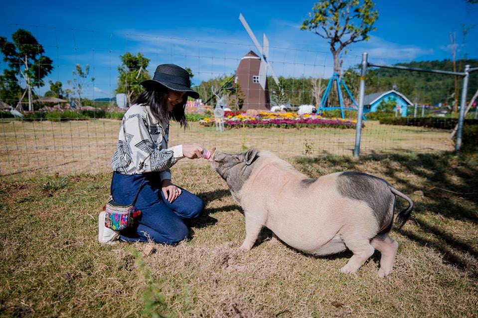 Viva Foresta Farm