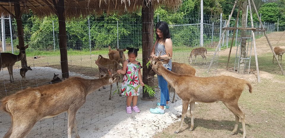 Viva Foresta Farm