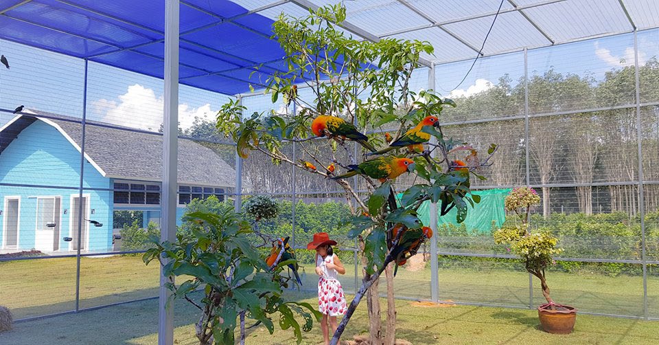 Viva Foresta Farm