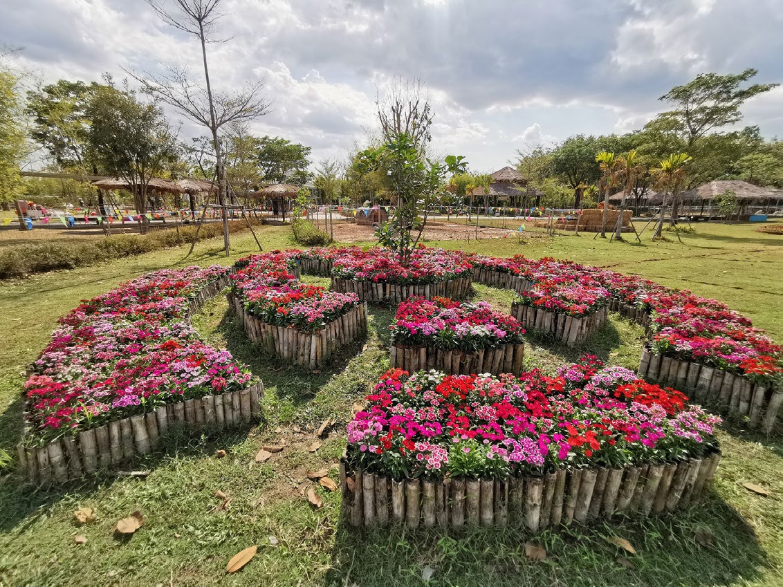 Viva Foresta Farm