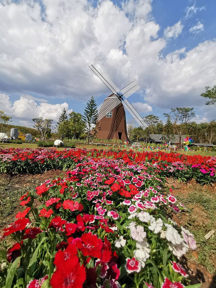 Viva Foresta Farm