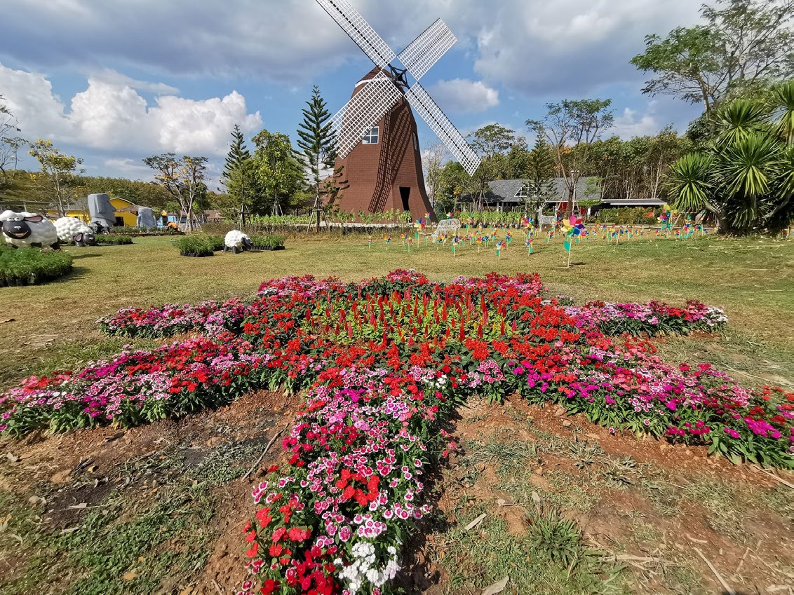 Viva Foresta Farm