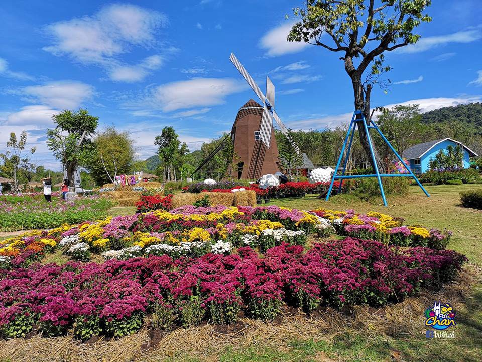Viva Foresta Farm