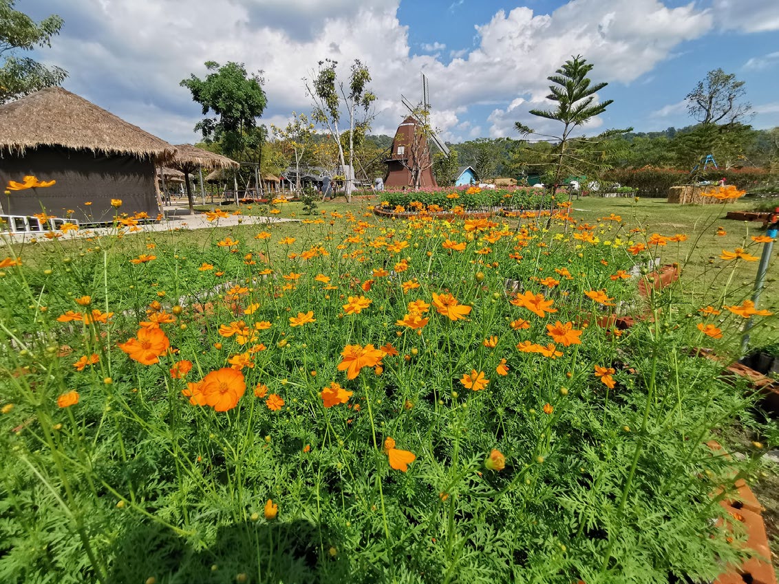 Viva Foresta Farm