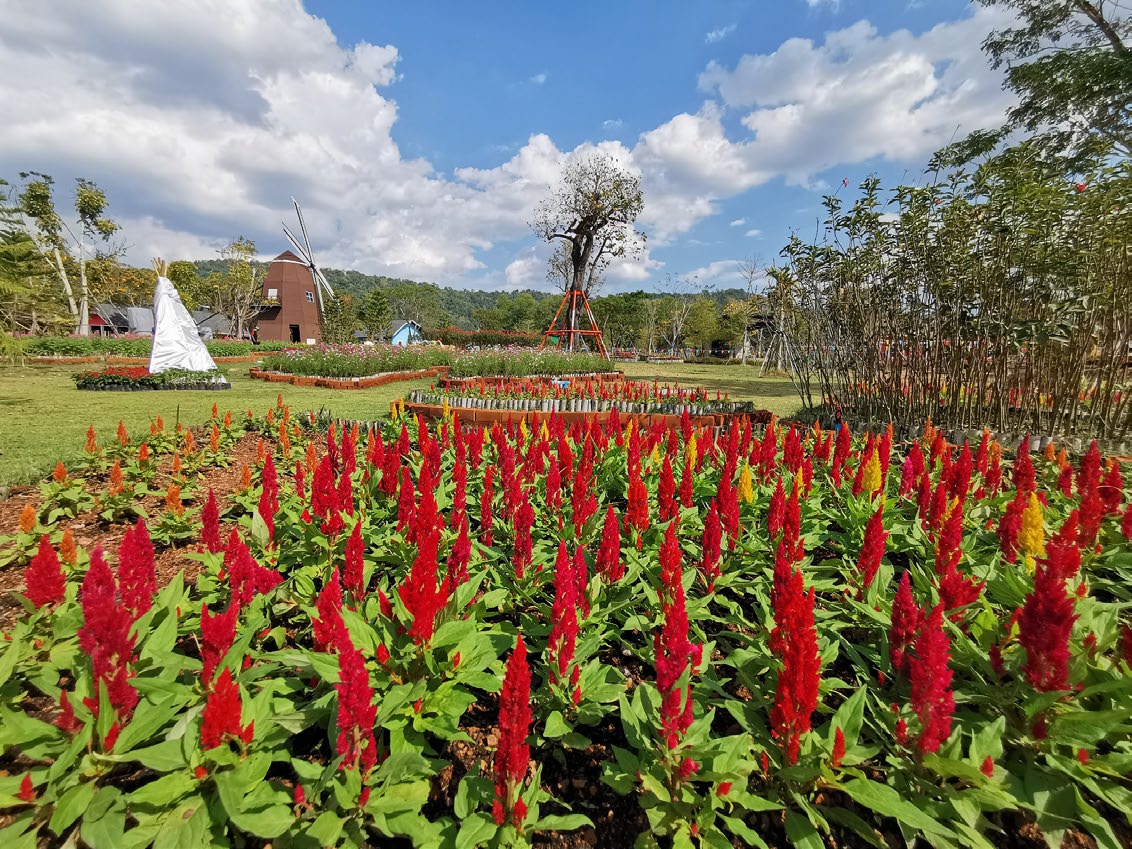Viva Foresta Farm
