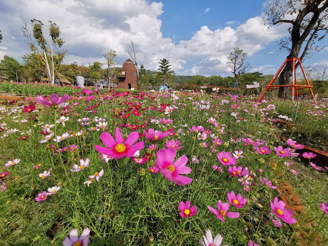 Viva Foresta Farm