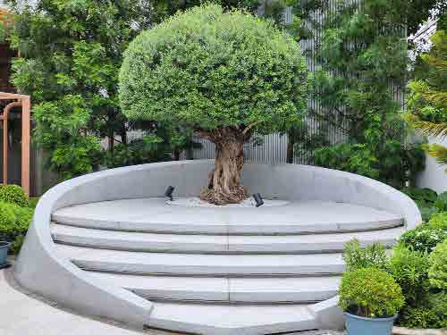 The Petal Garden & Studio Bangkok