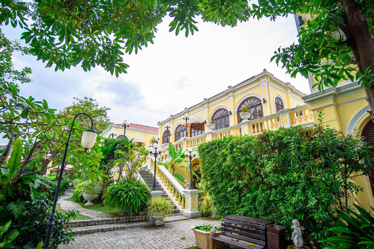 Paraya Palazzo