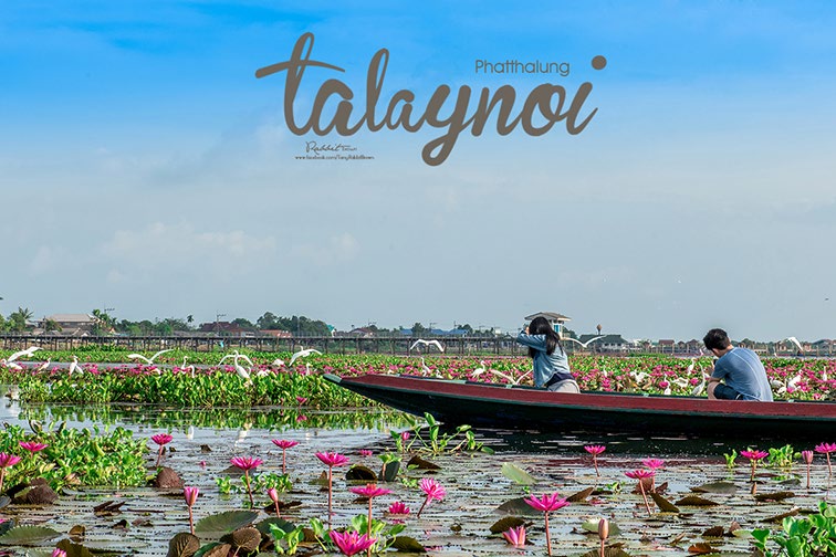 Talay Noi
