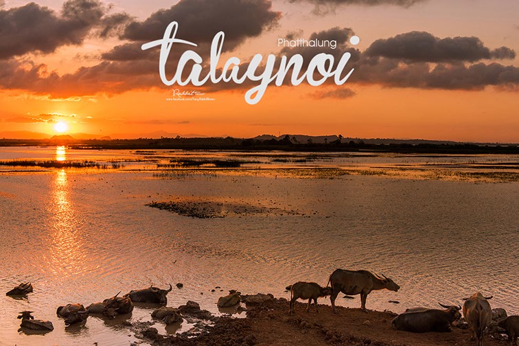 Talay Noi