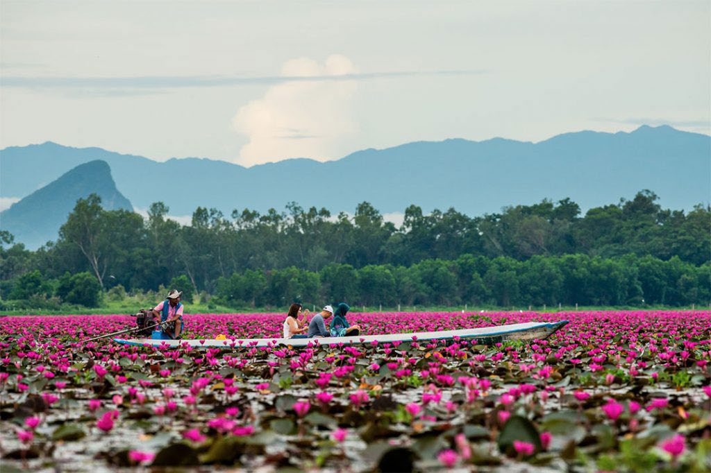 Talay Noi