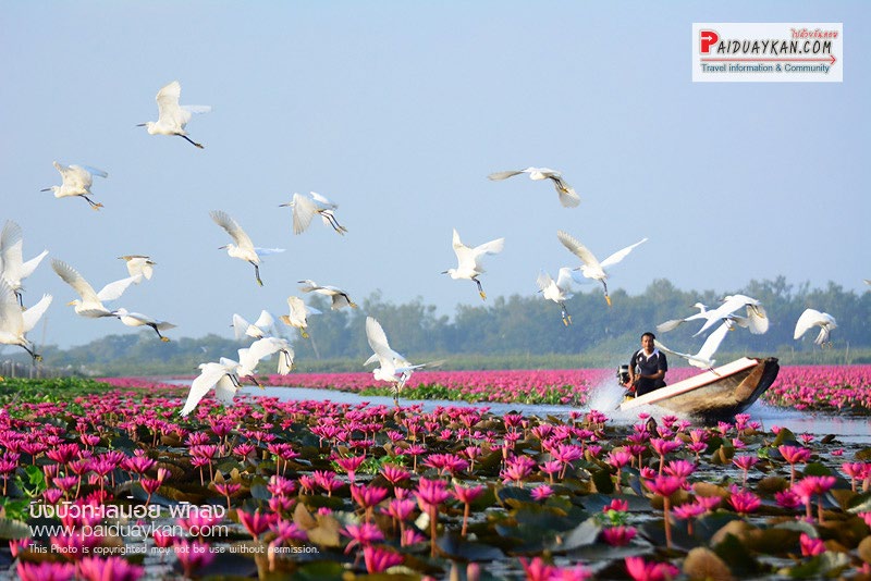 Talay Noi