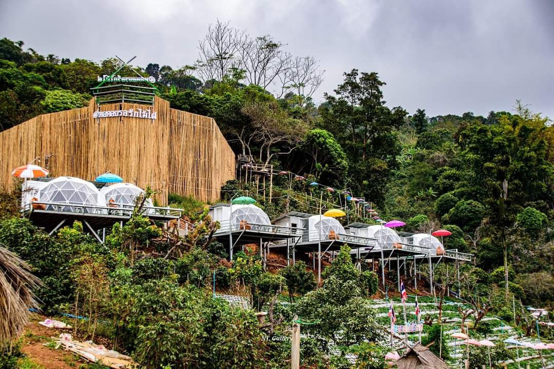 Pha Hee Bamboo Bridge