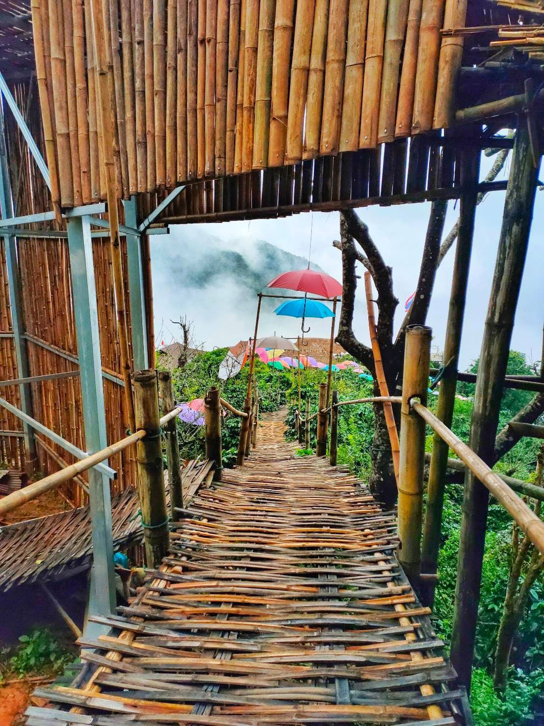 Pha Hee Bamboo Bridge