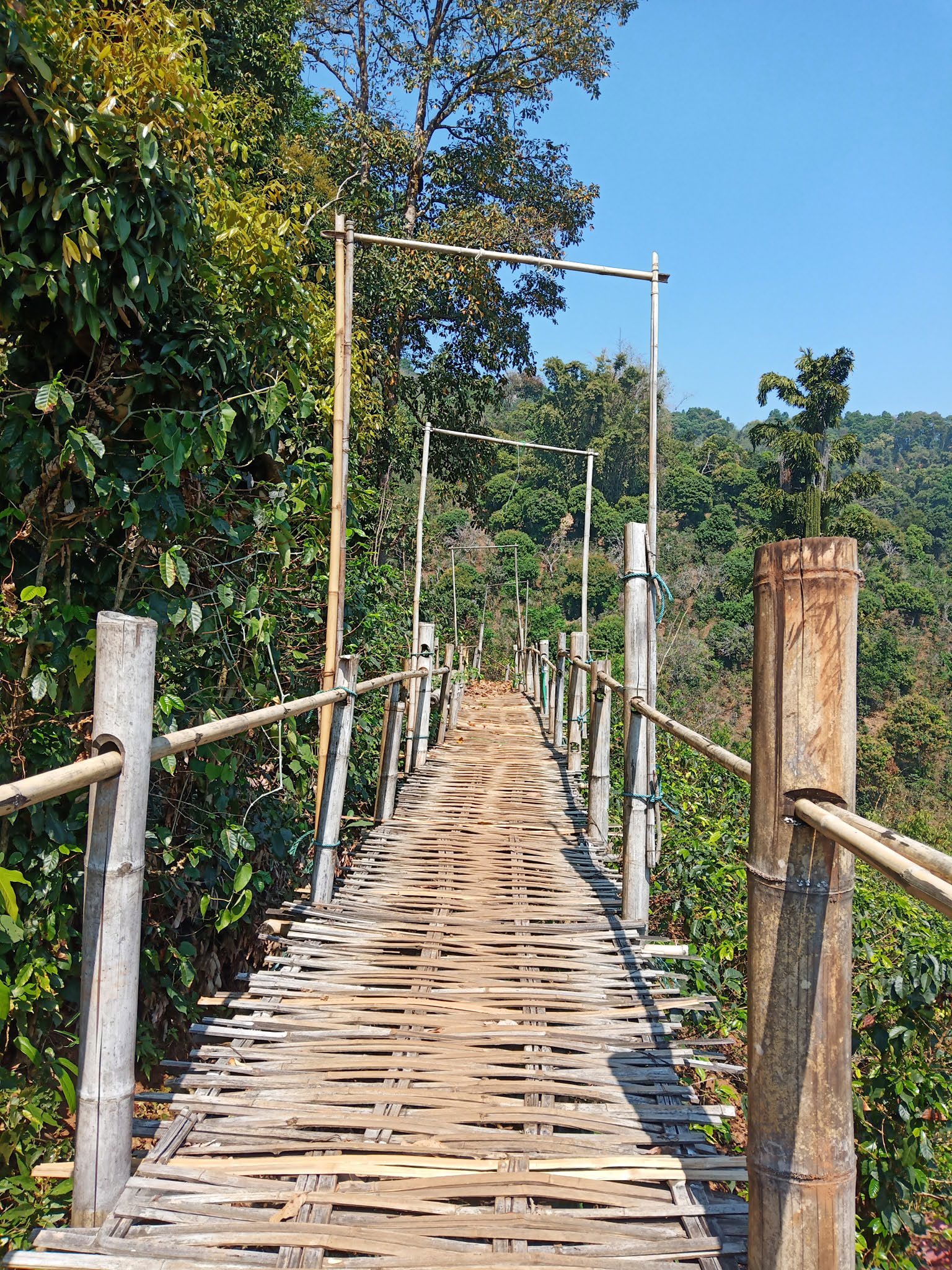 Pha Hee Bamboo Bridge