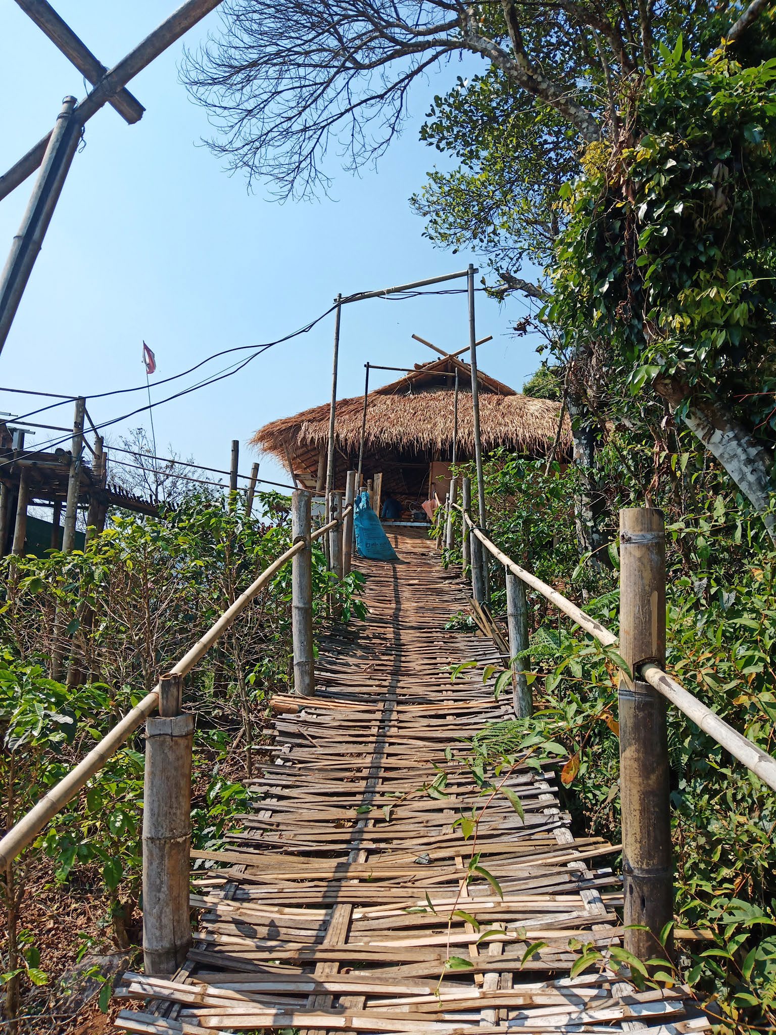 Pha Hee Bamboo Bridge